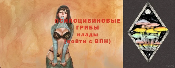 прущая мука Алзамай