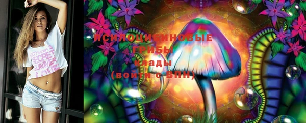 дурь Алексеевка