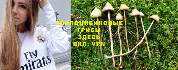 не бодяженный Алексин