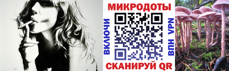 Галлюциногенные грибы Cubensis  Карпинск 